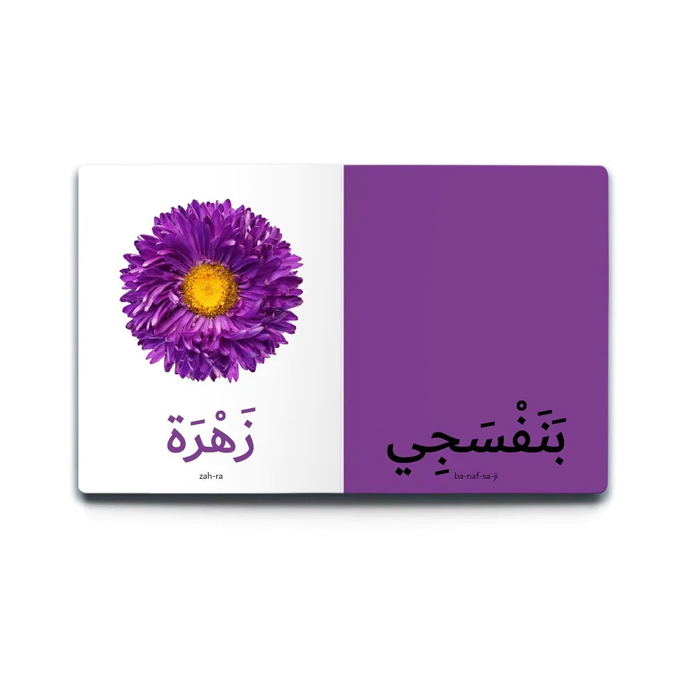 سلسلة الكلمات العربية الأولى - 5 كتب