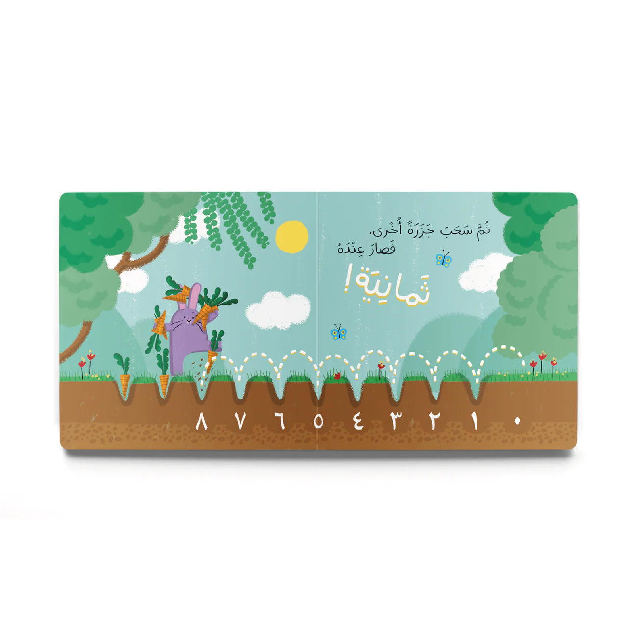 عشر جزرات