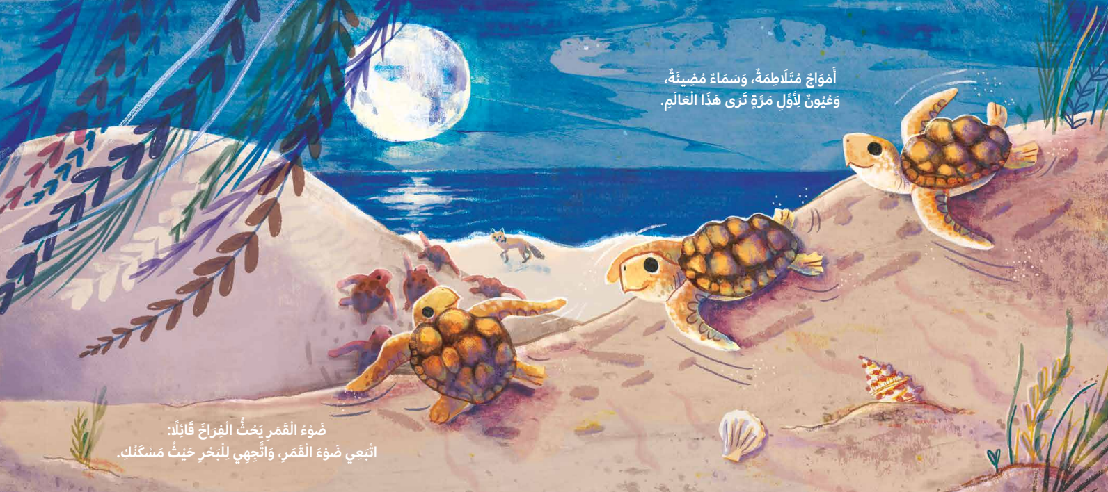 سباق السلاحف إلى البحر