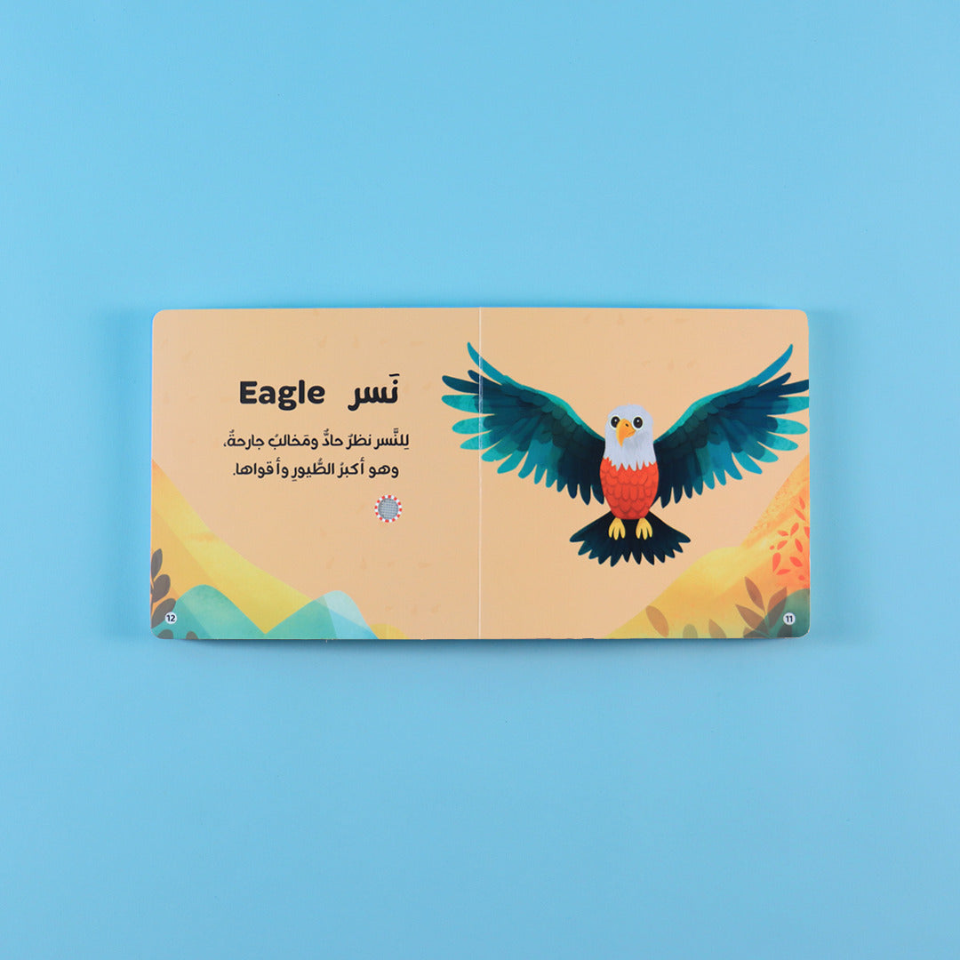 كتابي المسموع - حيوانات الغابة