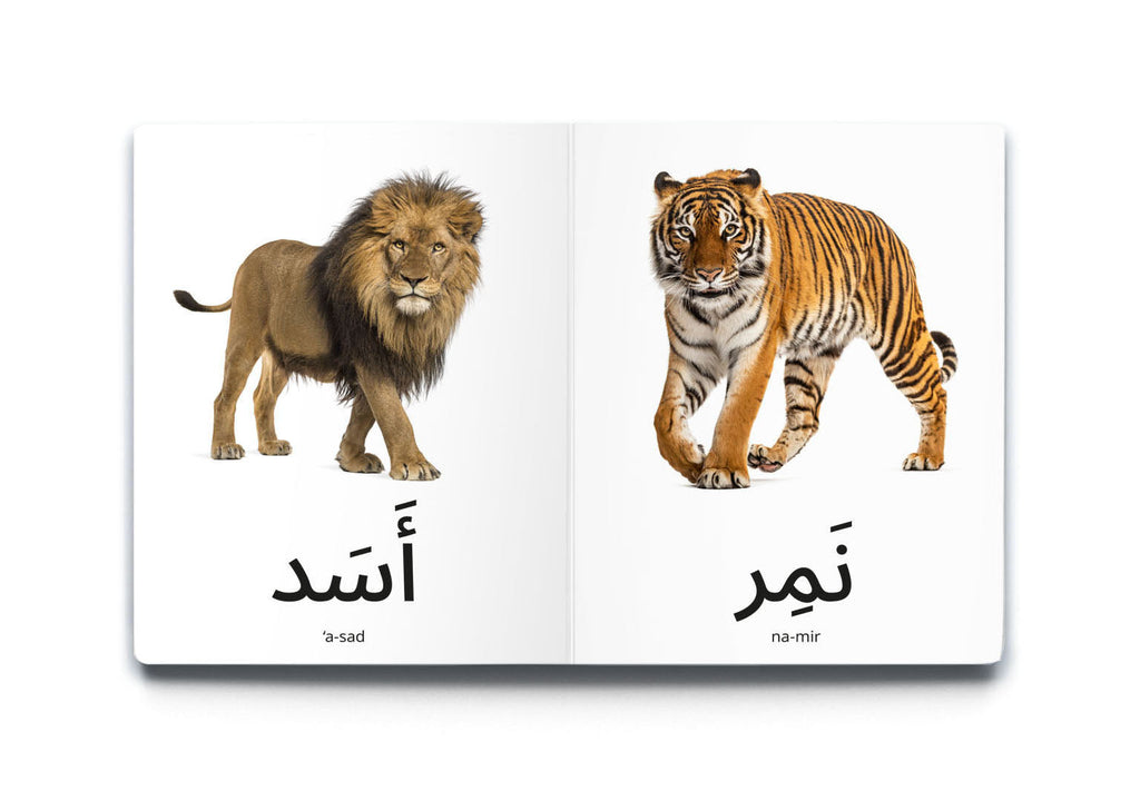 كلماتي الأولى - الحيوانات البرية