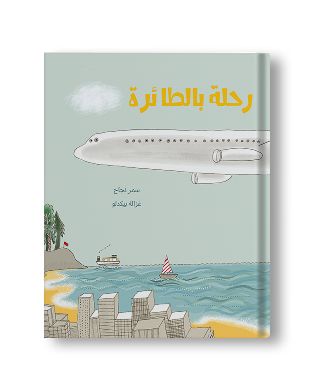 رحلة بالطائرة