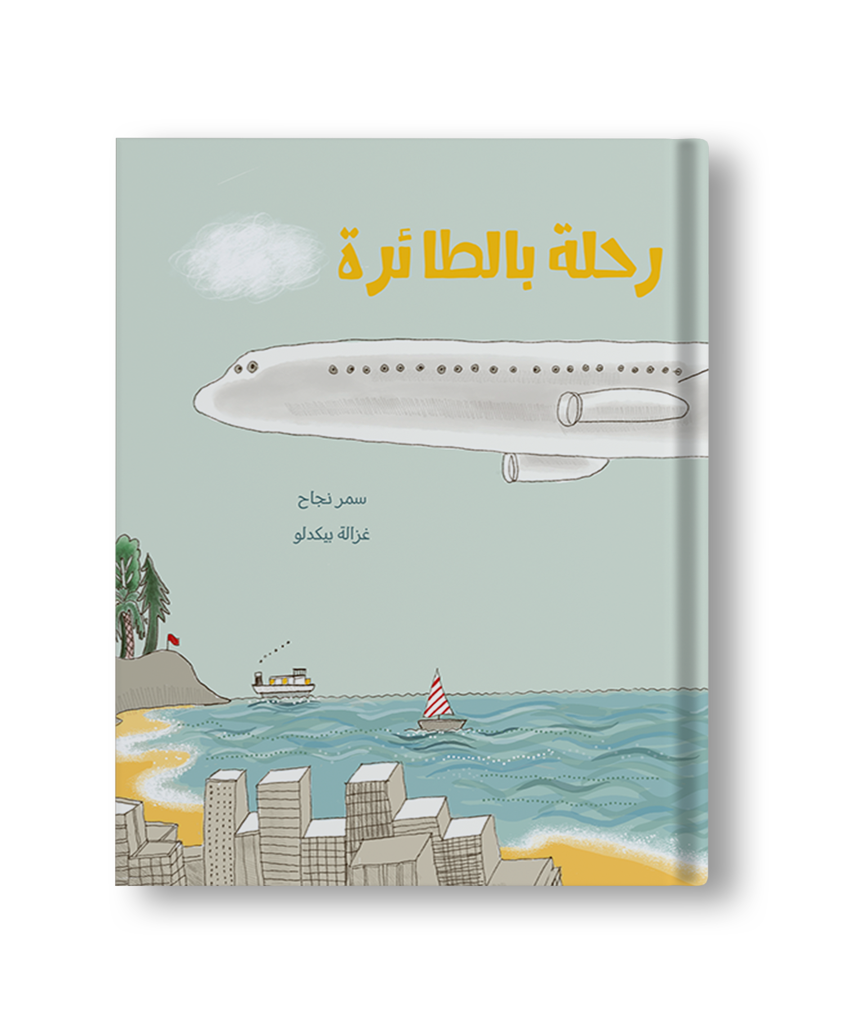 رحلة بالطائرة