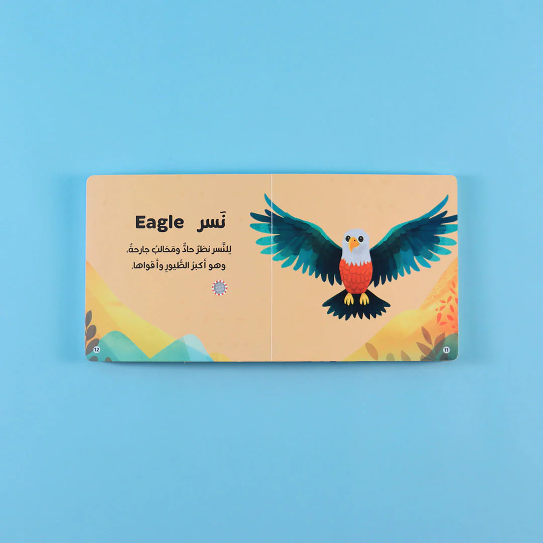 سلسلة كتابي المسموع - 4 كتب