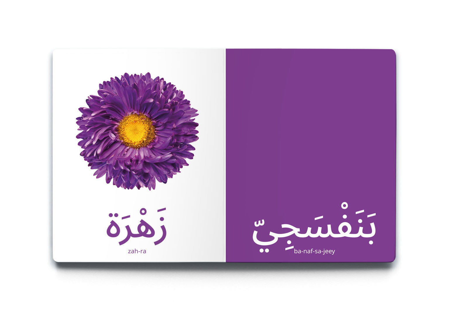 كلماتي الأولى - الألوان