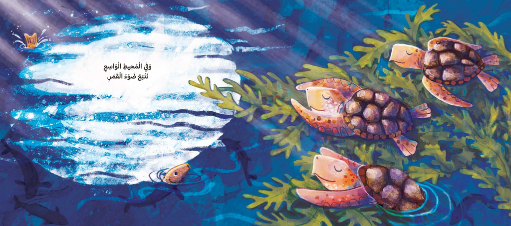 سباق السلاحف إلى البحر