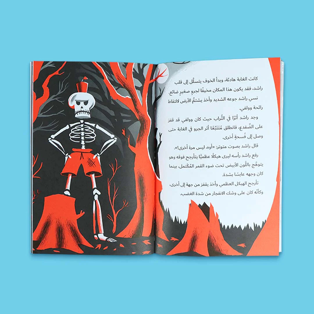 سلسلة مغامرات راشد