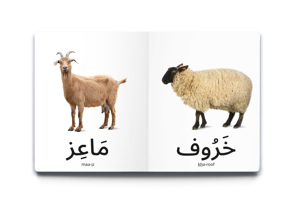 كلماتي الأولى - حيوانات المزرعة