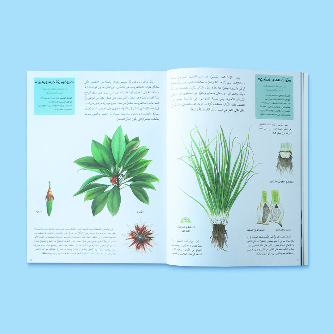 سلسلة عالم النباتات - 4 كتب