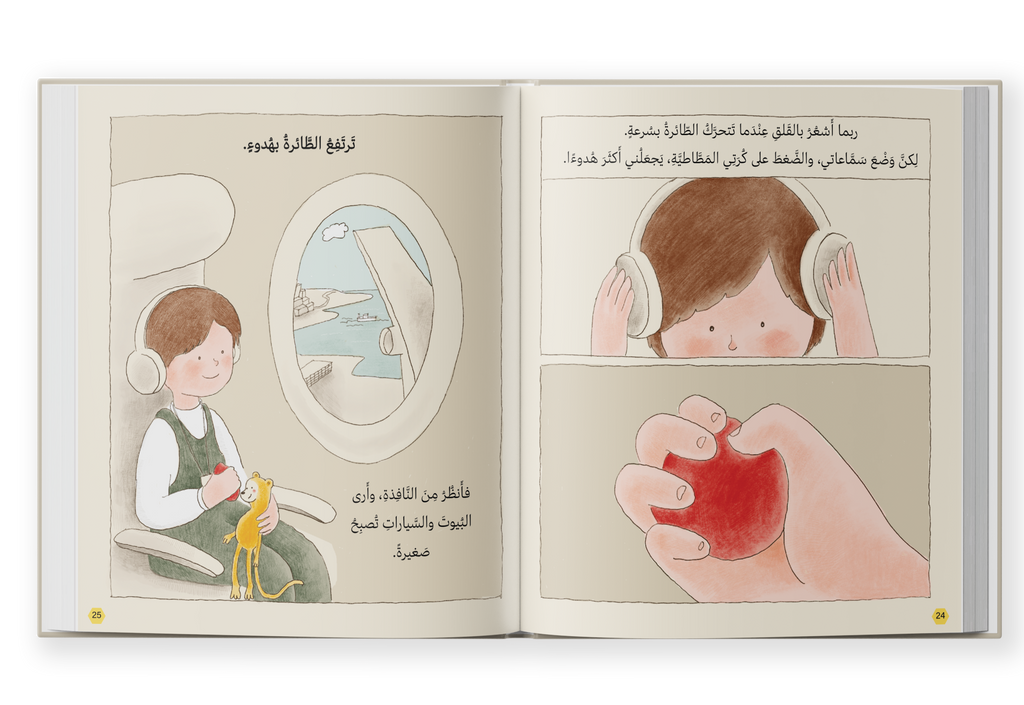 رحلة بالطائرة