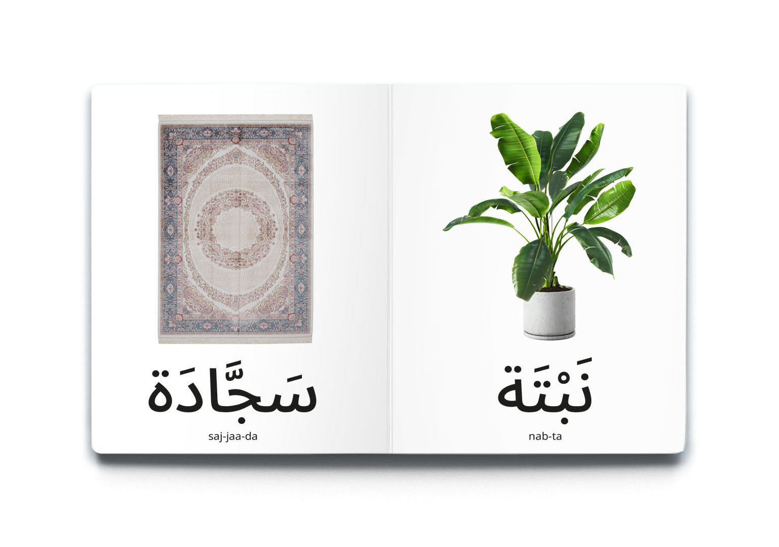 كلماتي الأولى - منزلي