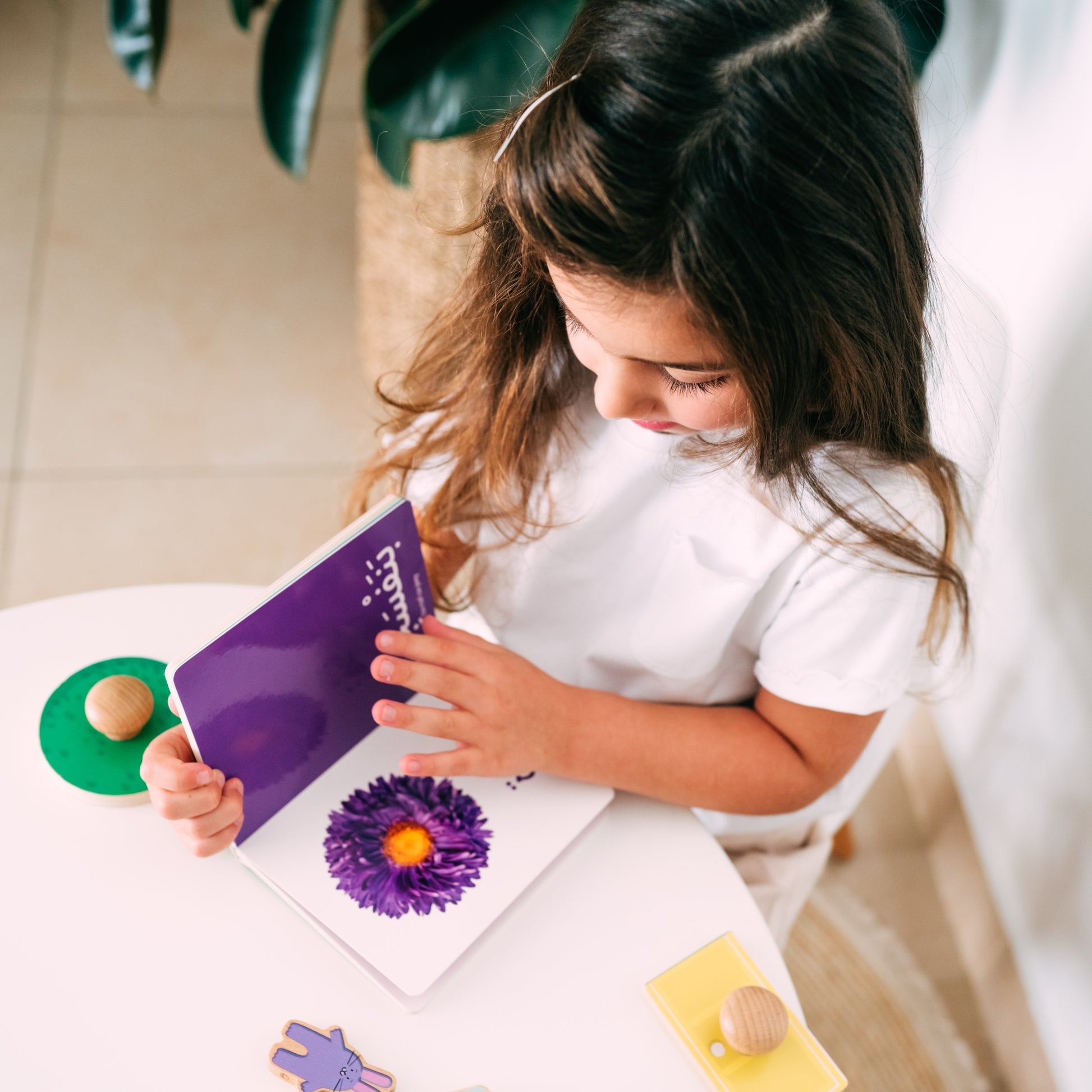 كلماتي الأولى - الألوان