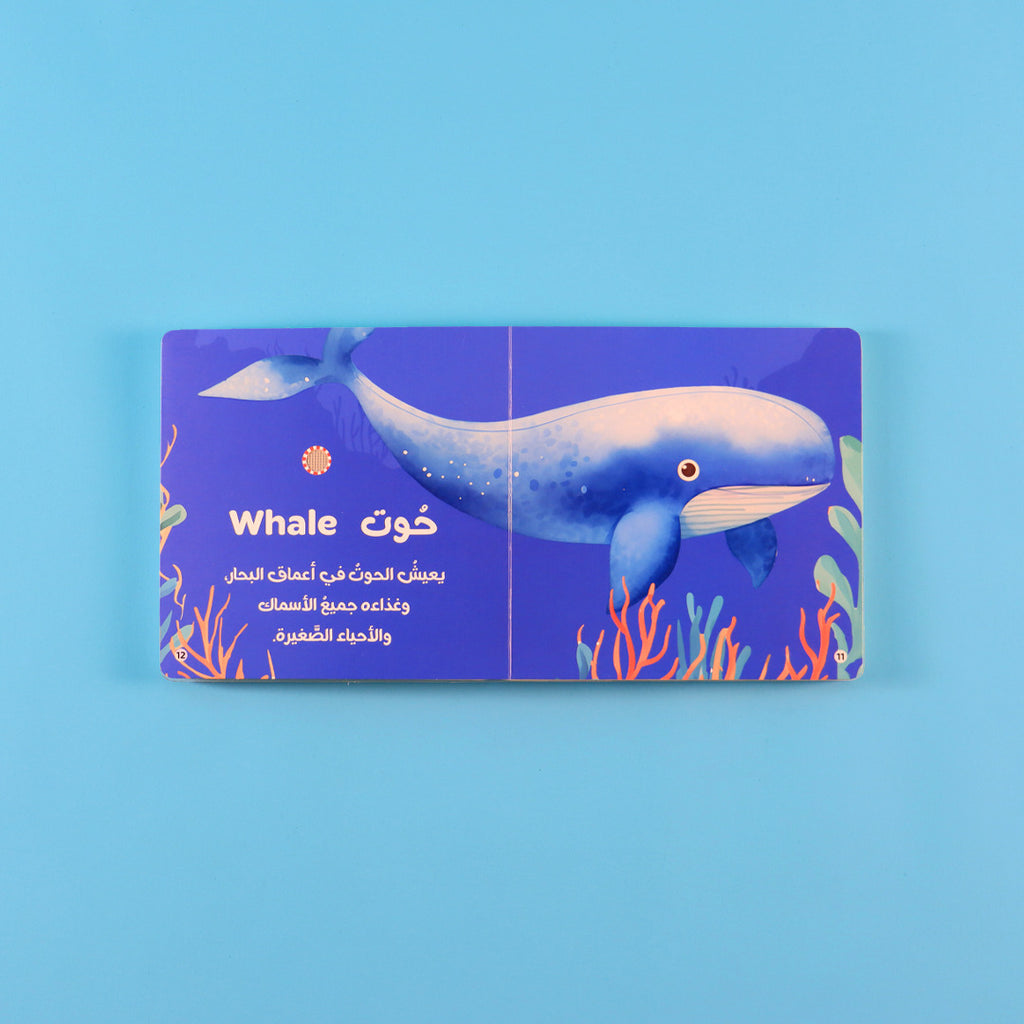 كتابي المسموع - حيوانات الماء