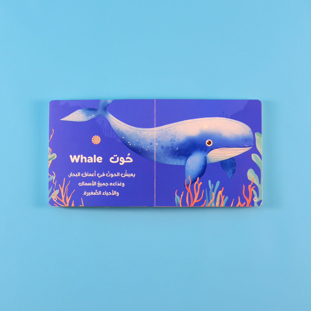 كتابي المسموع - حيوانات الماء