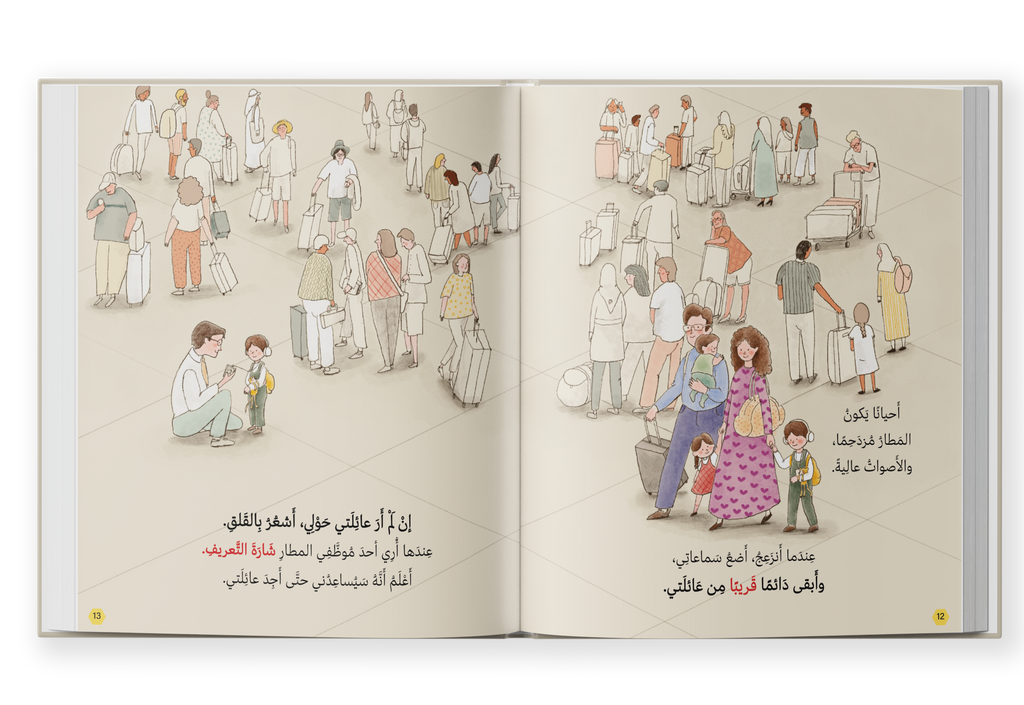 رحلة بالطائرة