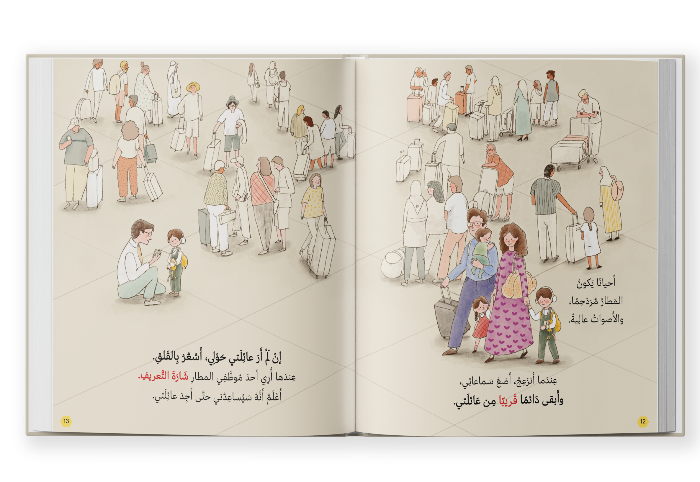 رحلة بالطائرة