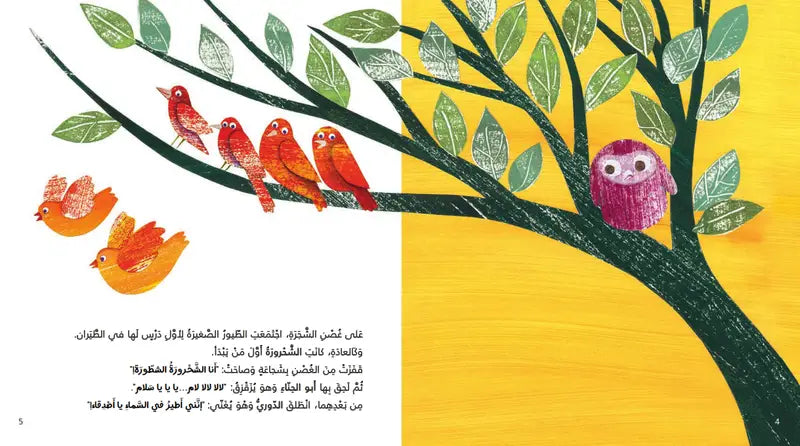 زين زالا زوم .. حاول أكثر فأكثر