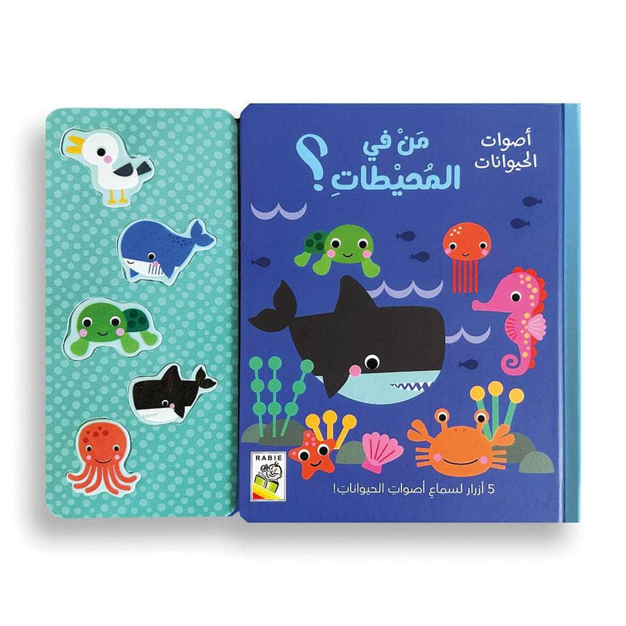 من في المحيطات؟ أصوات الحيوانات