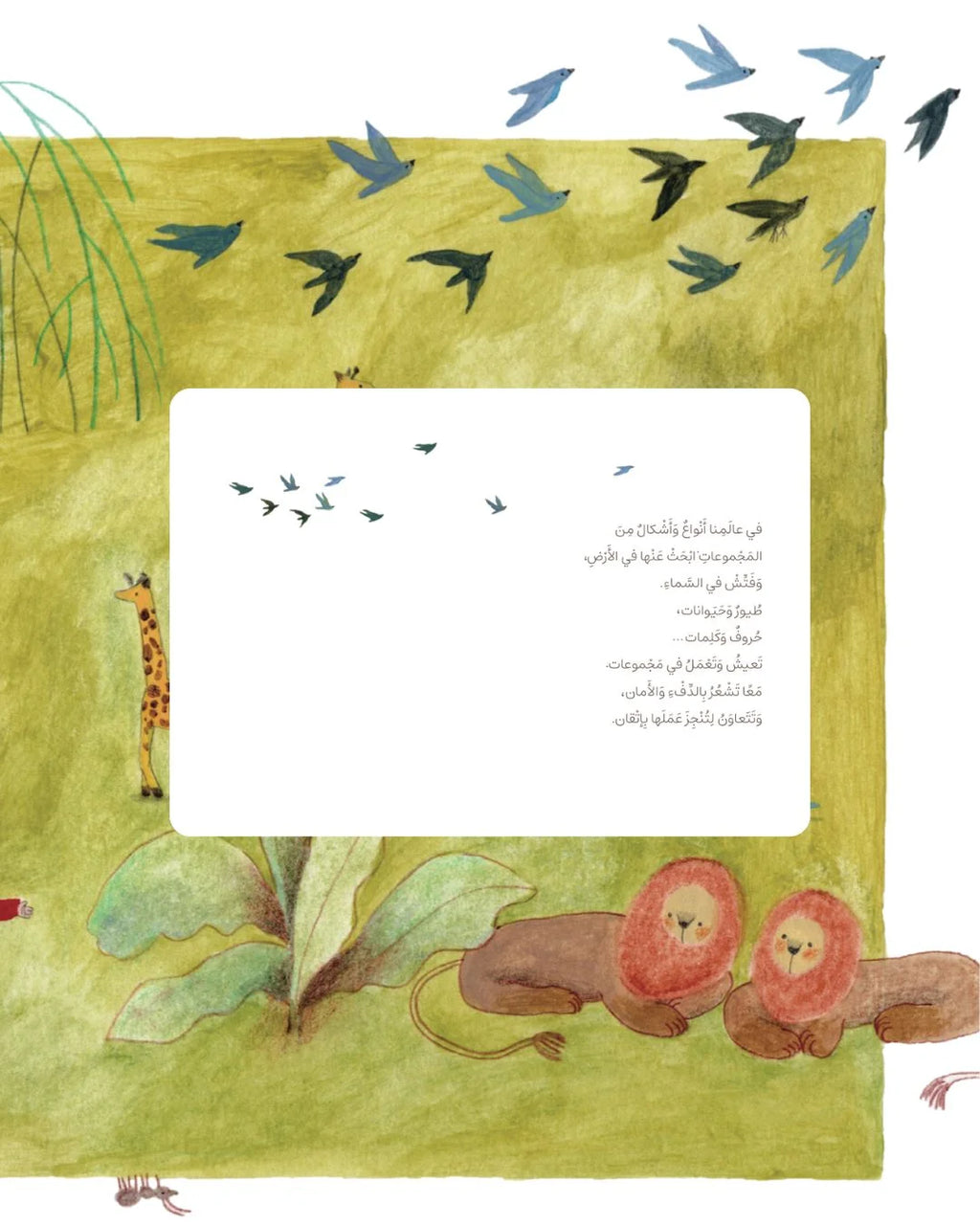 مجموعات