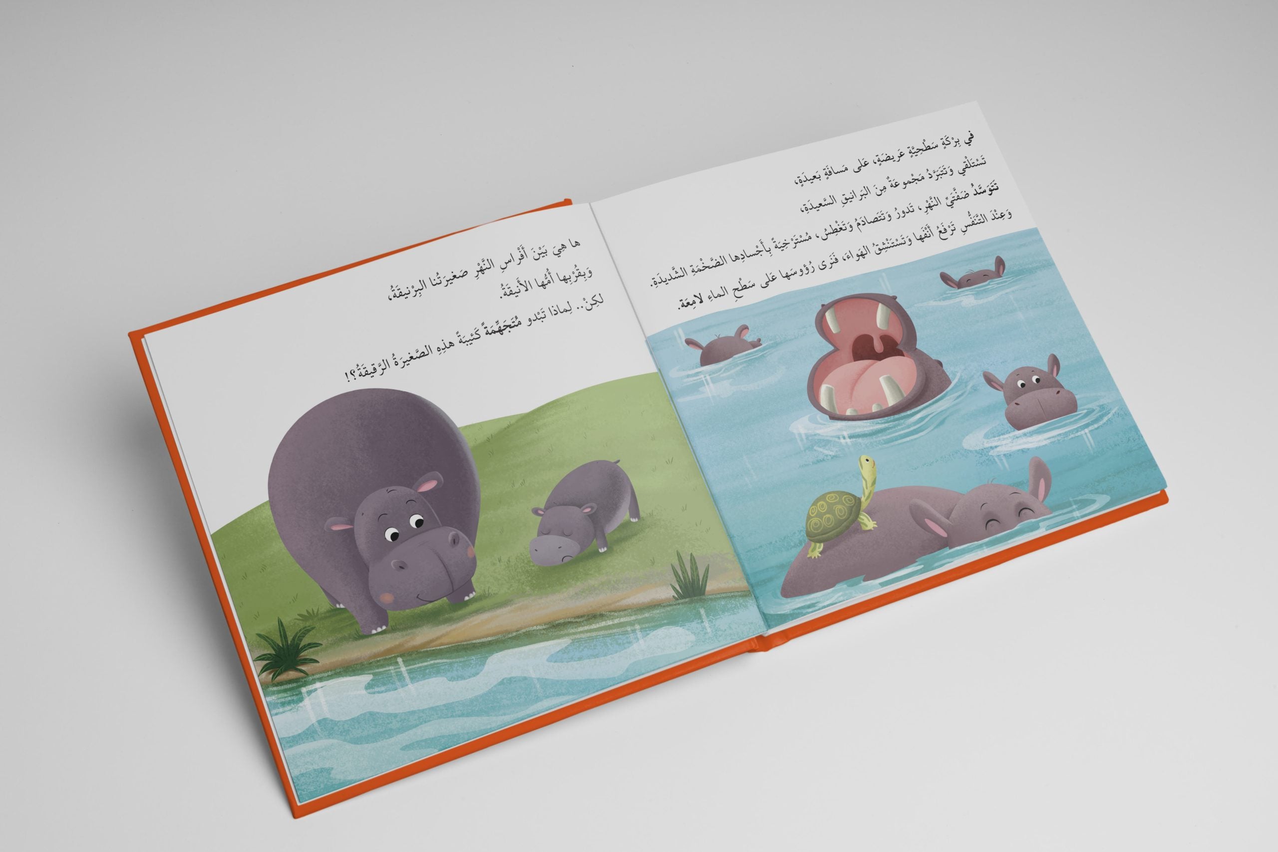 أنا ومشاعري - حين تغضب البرنيقة