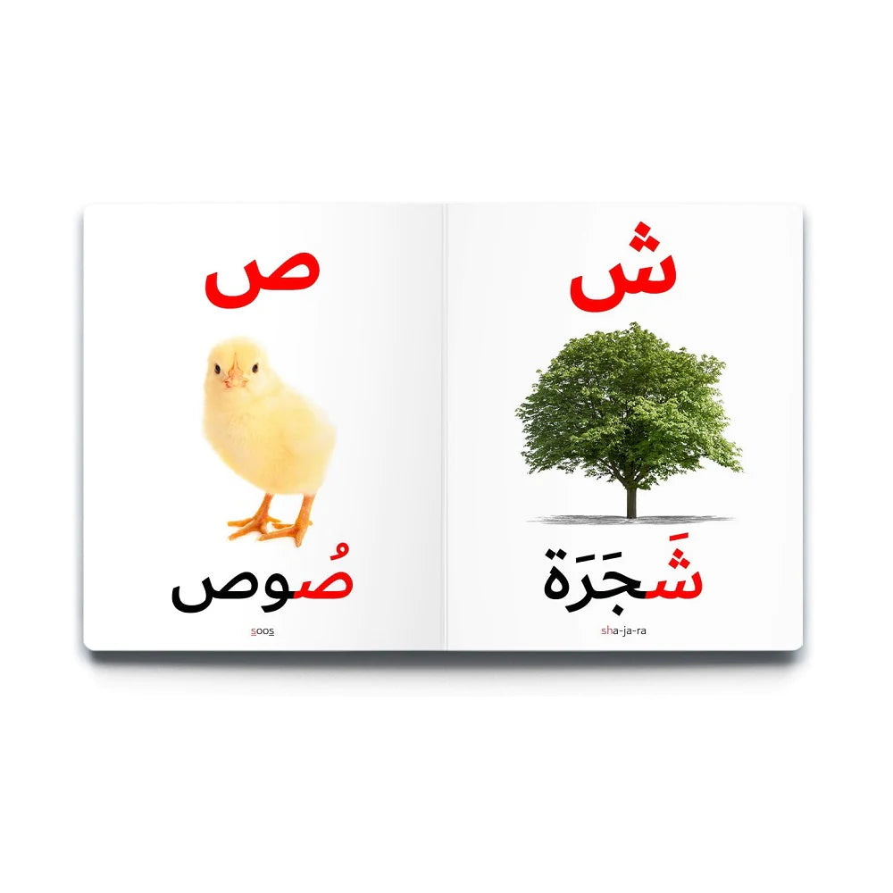 سلسلة الكلمات العربية الأولى - 5 كتب