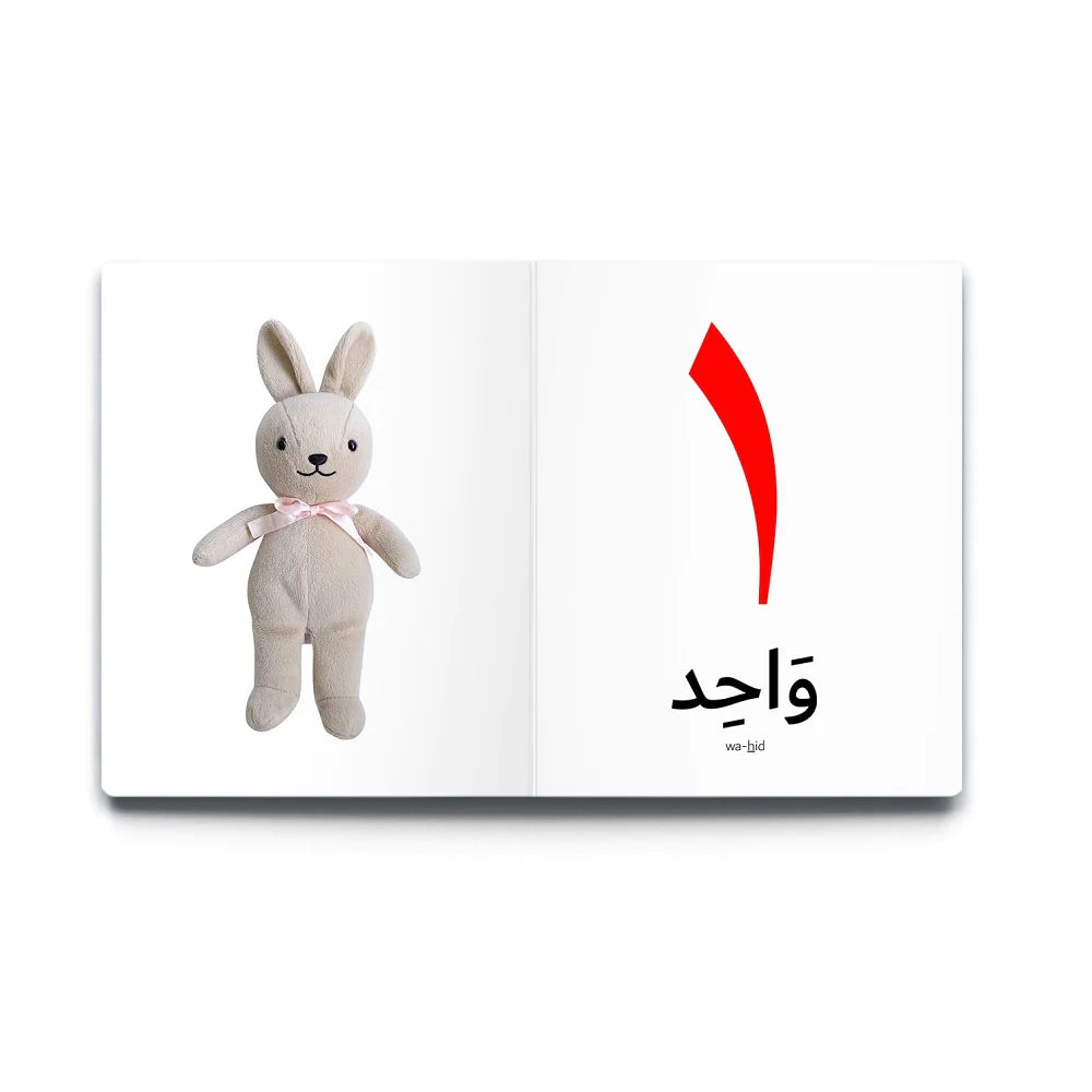 سلسلة الكلمات العربية الأولى - 5 كتب