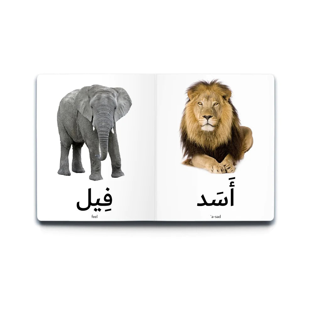 سلسلة الكلمات العربية الأولى - 5 كتب