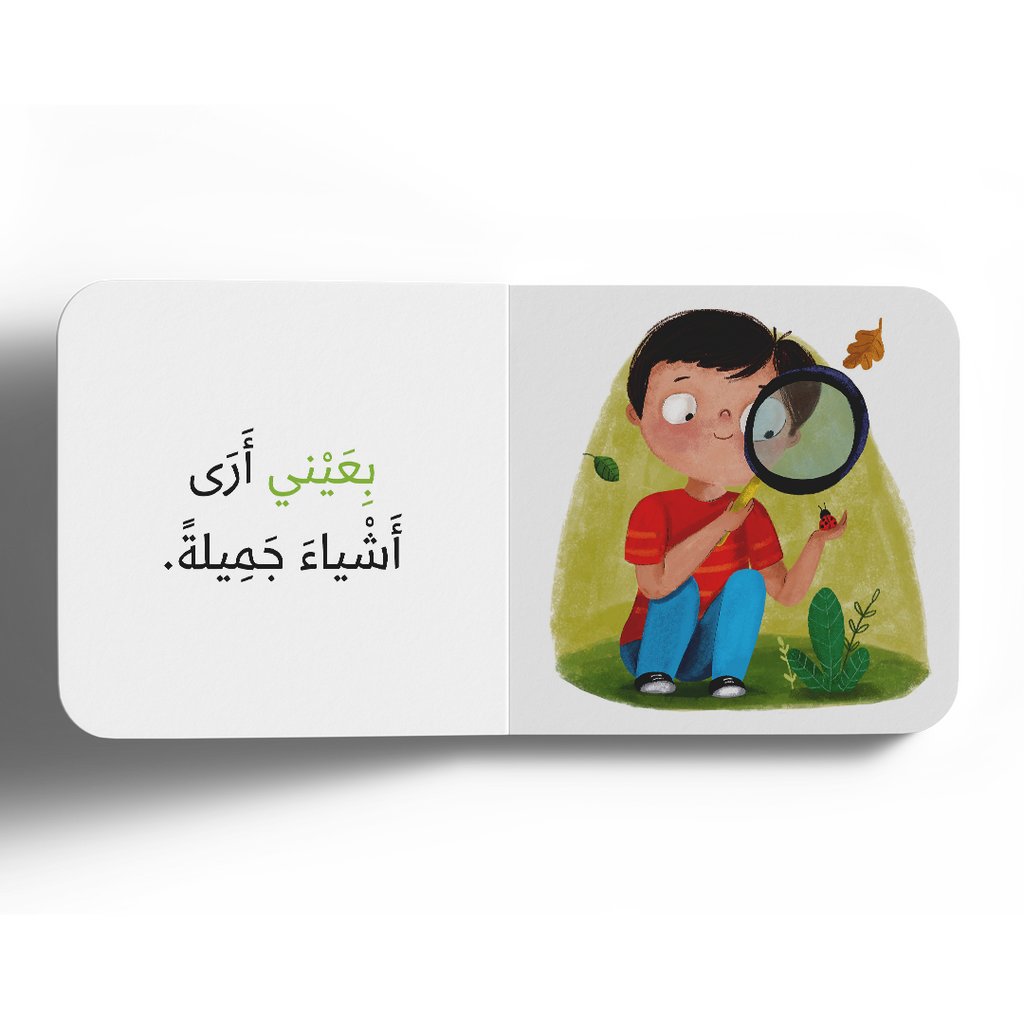 نعمة البصر - سلسلة الحواس الخمس