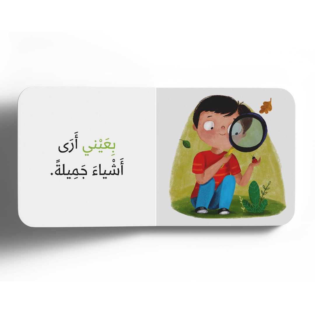 نعمة البصر - سلسلة الحواس الخمس