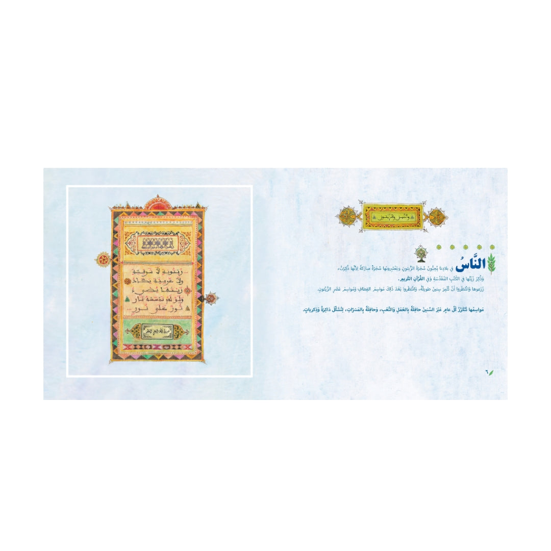 زيتونة على كتف الوادي