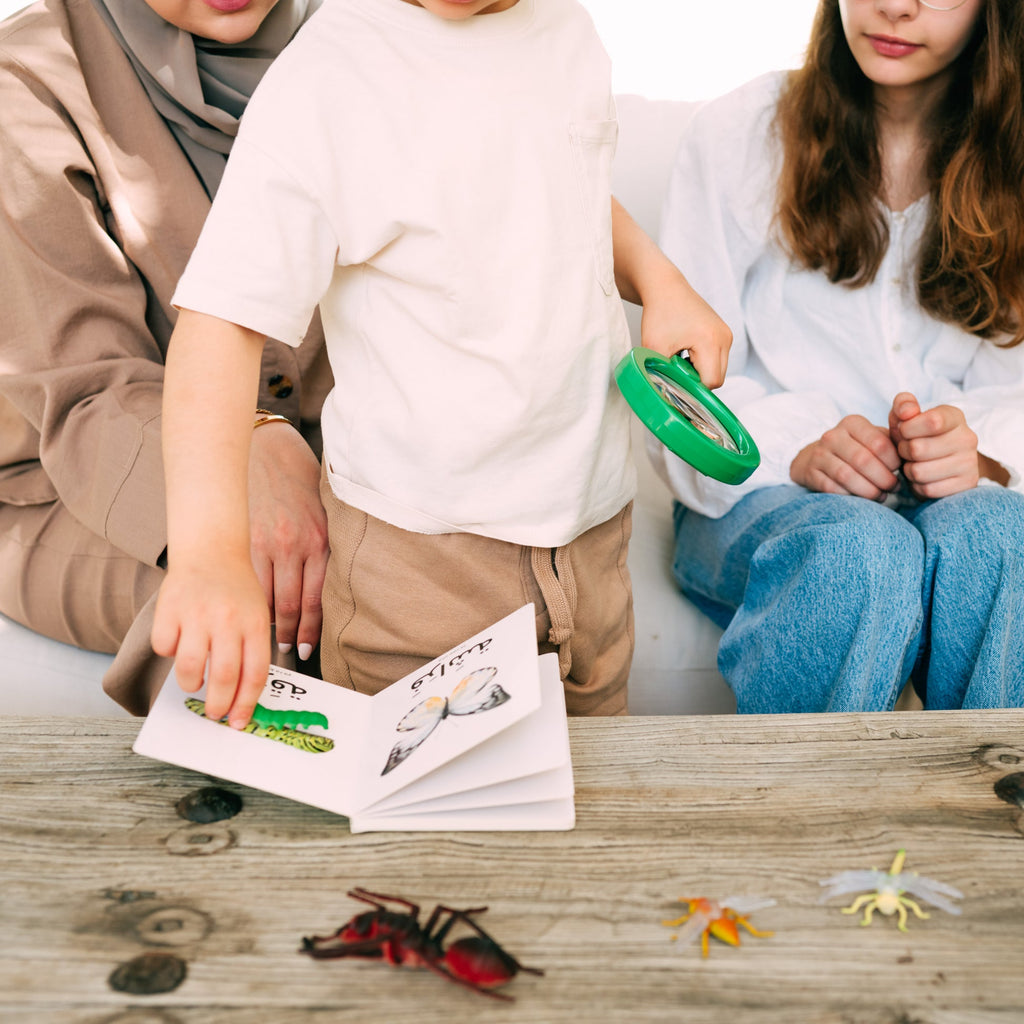 كلماتي الأولى - الحشرات