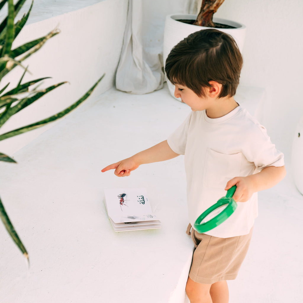 كلماتي الأولى - الحشرات