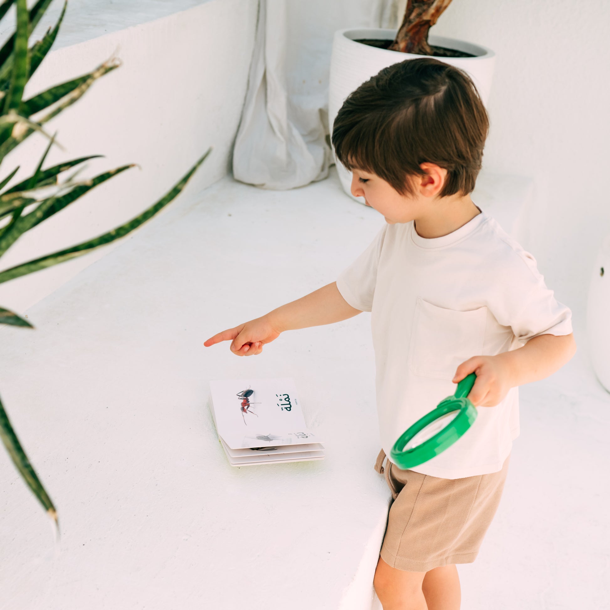 كلماتي الأولى - الحشرات