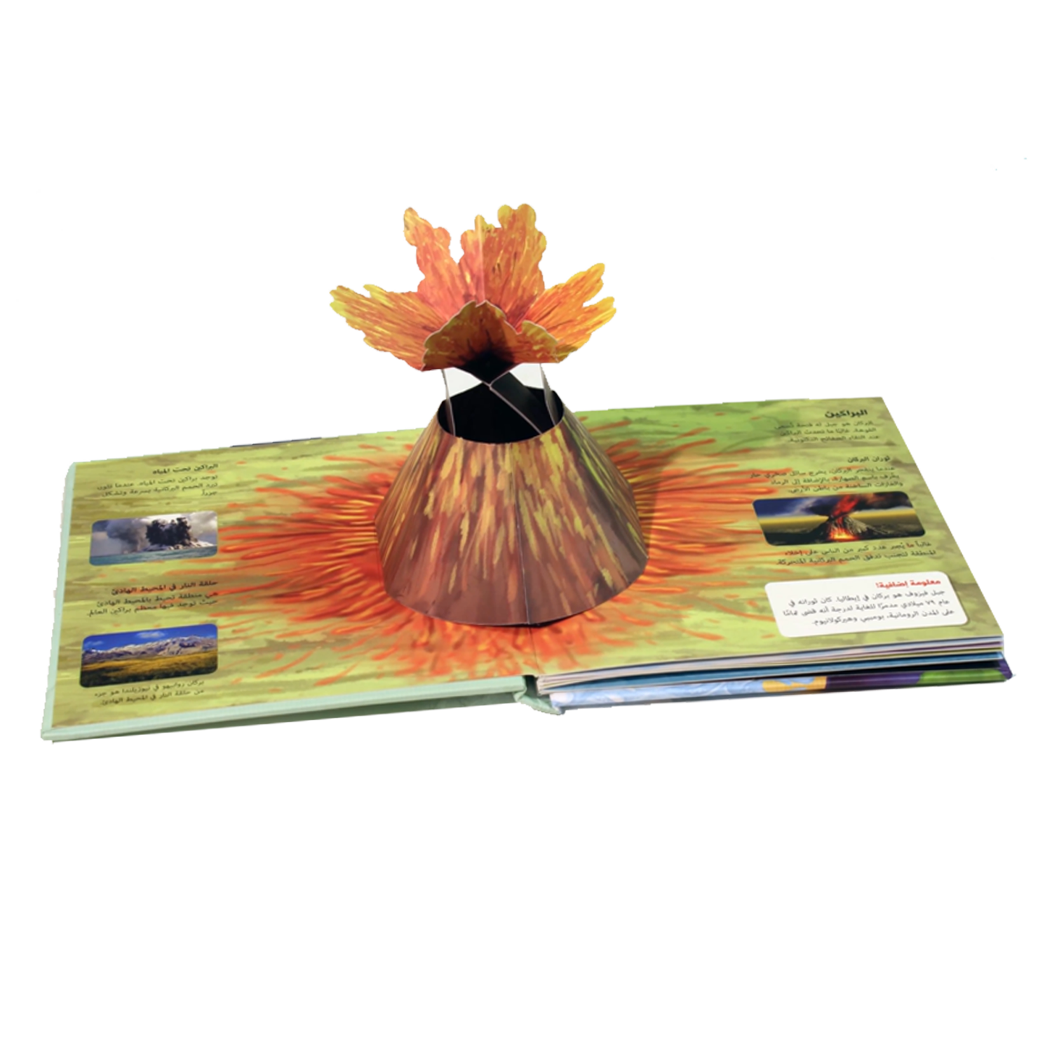 الأرض المدهشة - التعلم ثلاثي الأبعاد