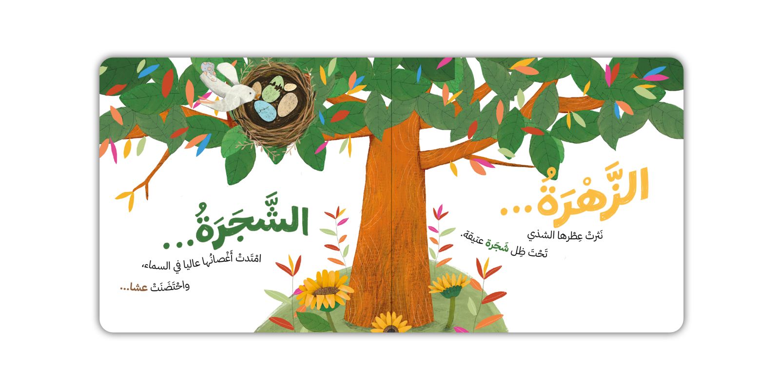 خلف النافذة