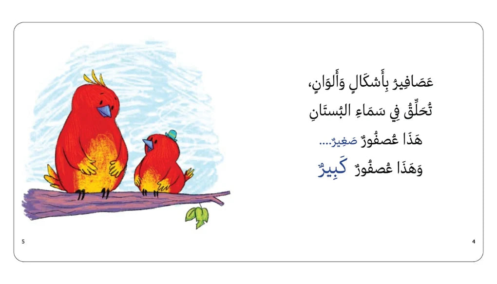 سلسلة عصافير - 4 كتب