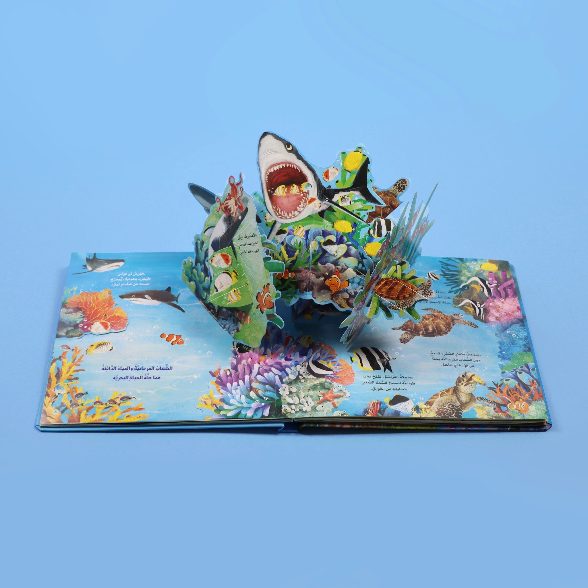 مملكة الحيوان - المحيط 3D