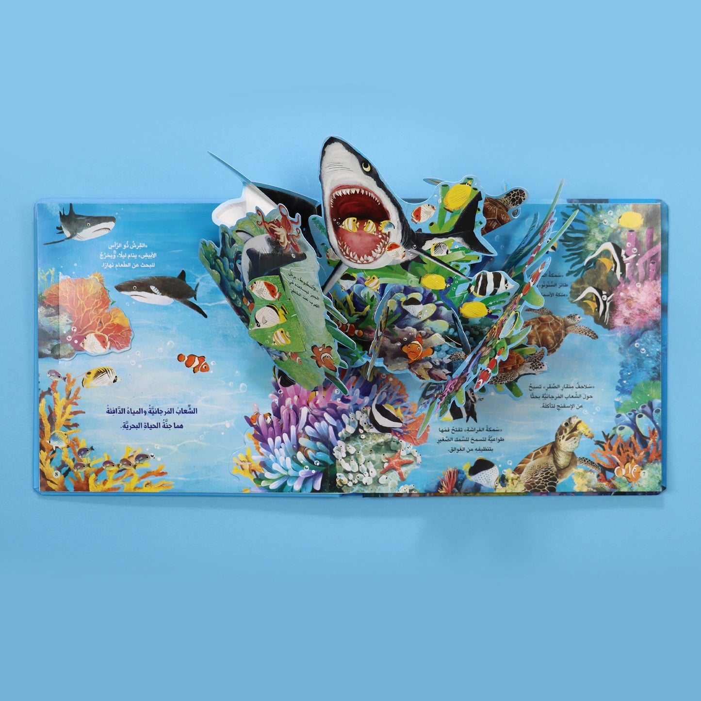مملكة الحيوان - المحيط 3D