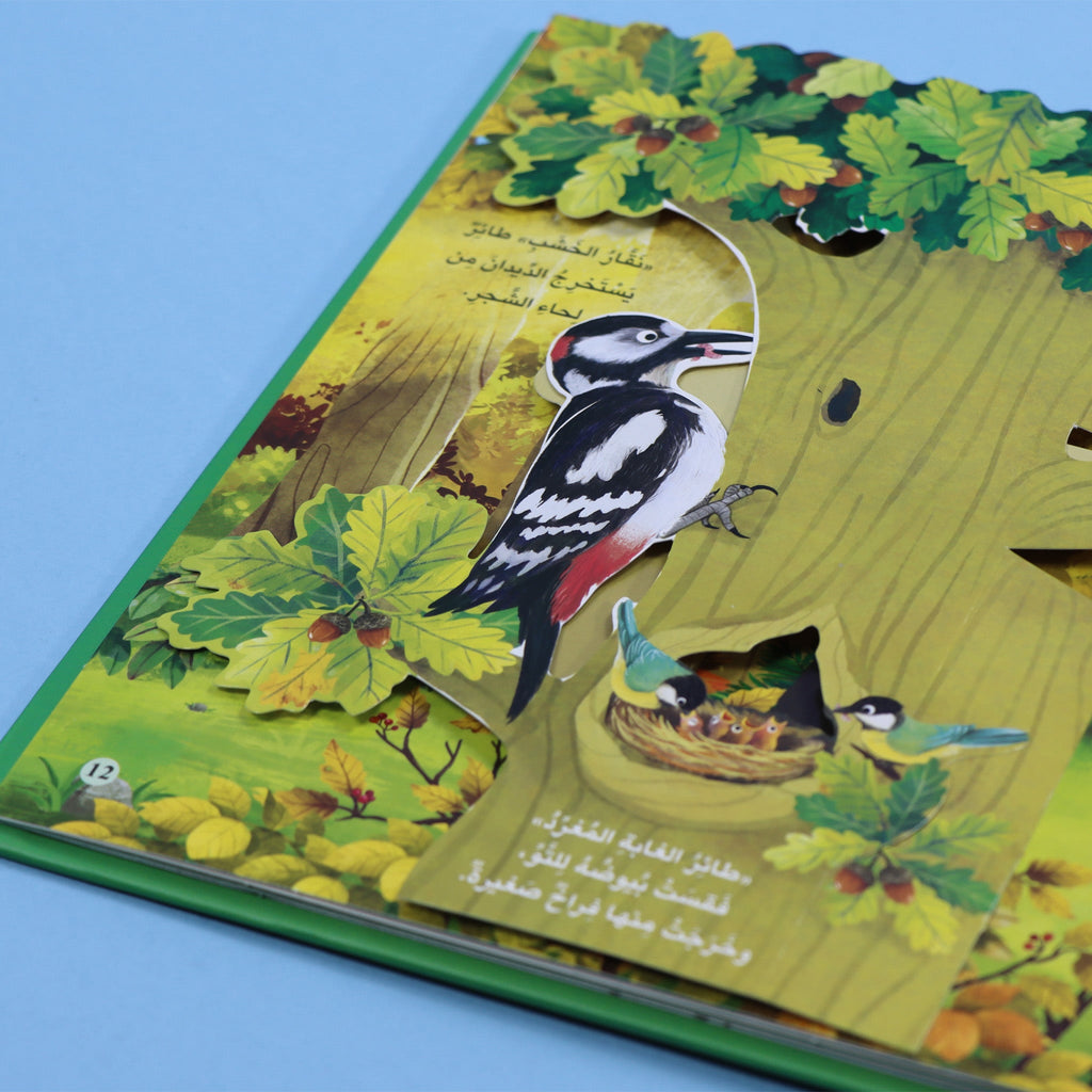 مملكة الحيوان - الغابة 3D