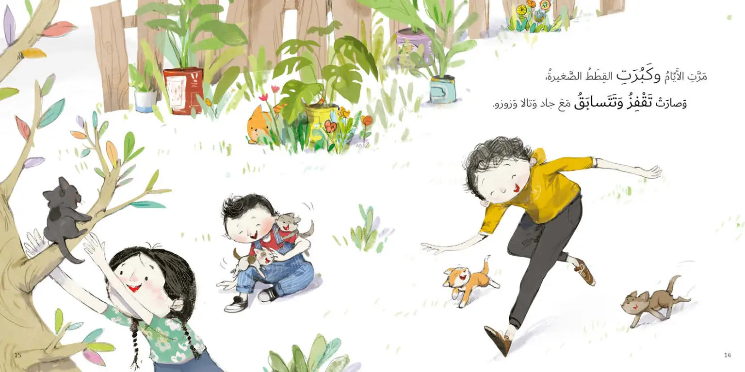 خمس قطط شقية - جاد وتالا