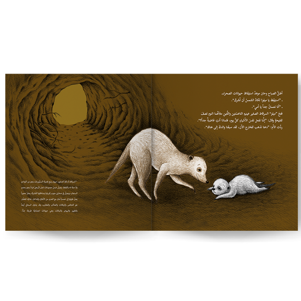 معاً تحت الشمس