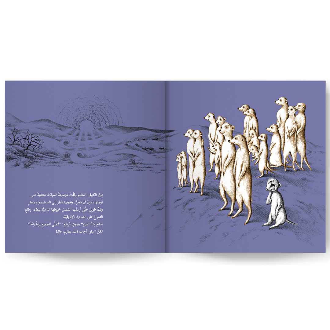 معاً تحت الشمس