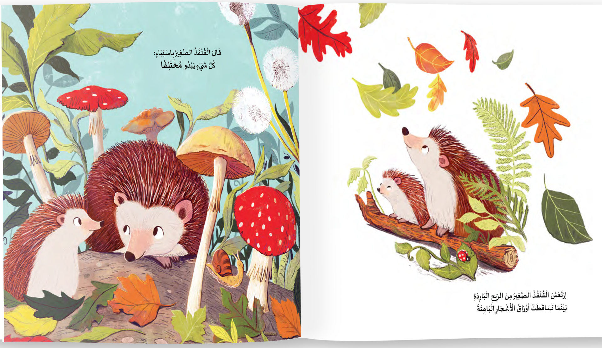 أحبك دائماً