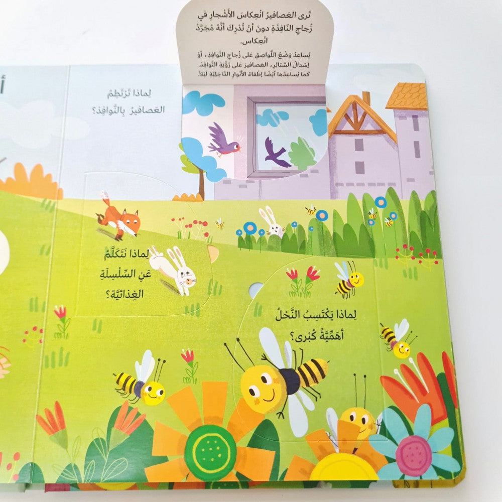 سلسلة لماذا؟ بيئتي