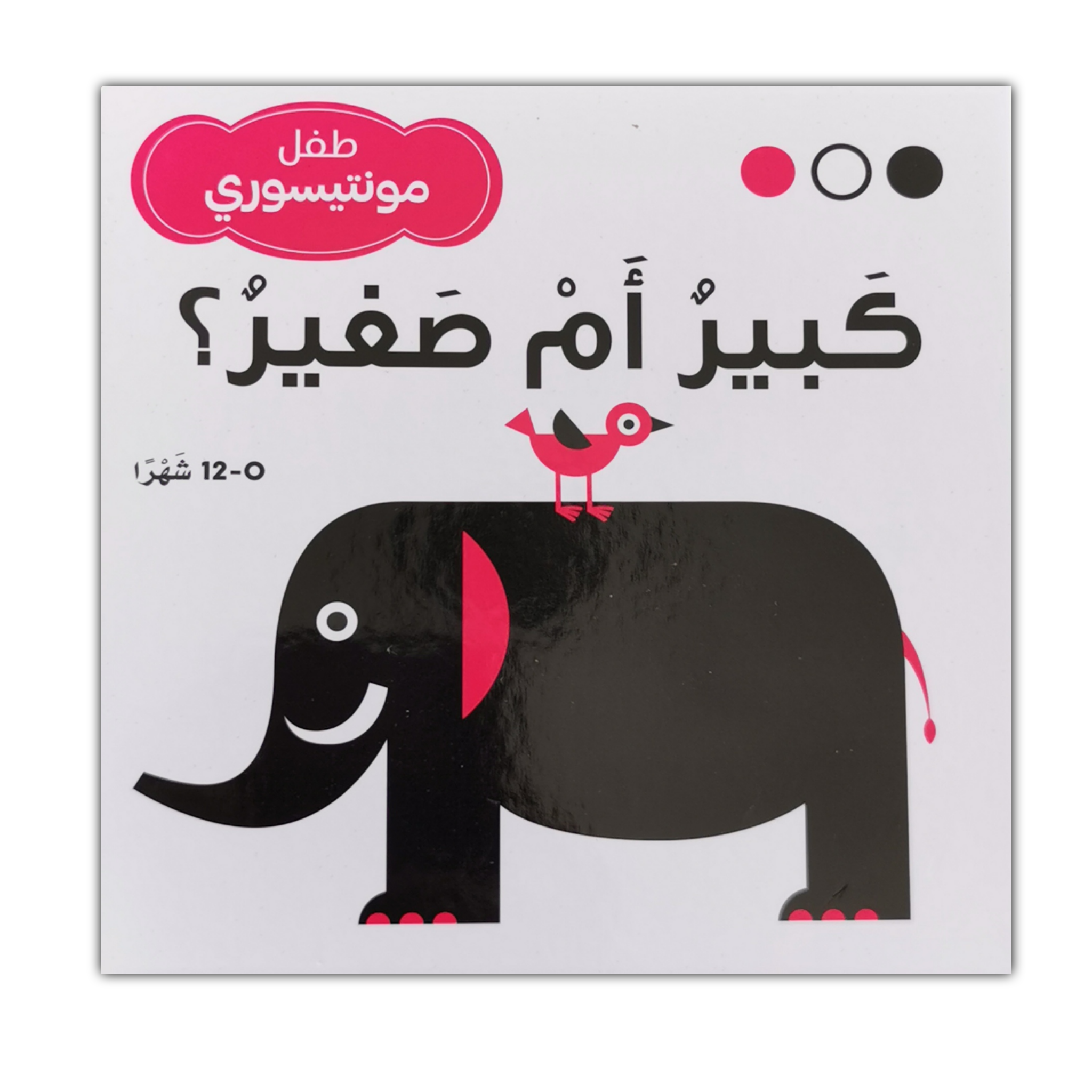 سلسلة طفل مونتيسوري - كبير أم صغير؟