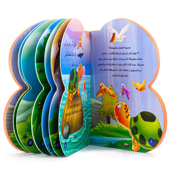 سلسلة قصص (B)