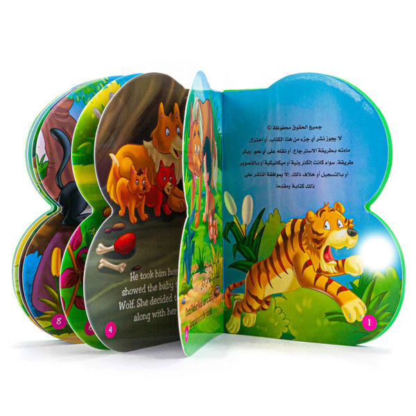 سلسلة قصص (B)