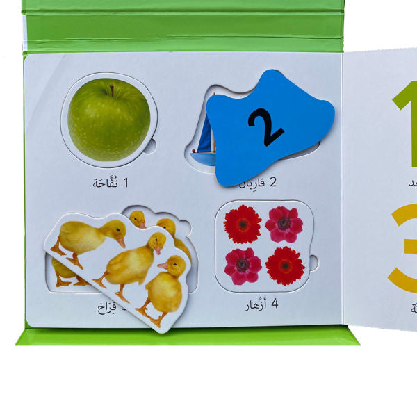 التعليم أولاً - الأرقام