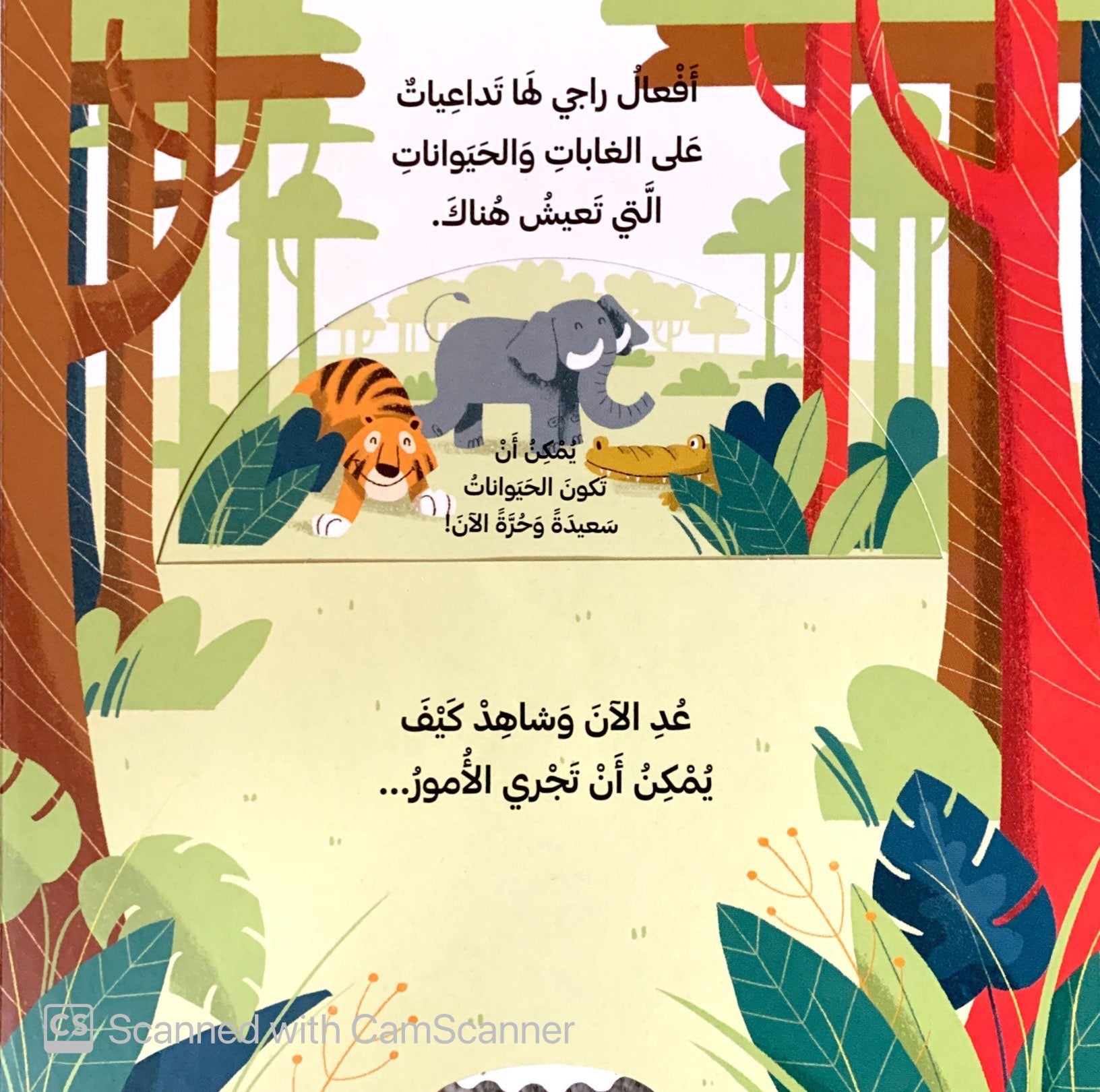 كتب متحركة - أنقذوا الأرض - الورق