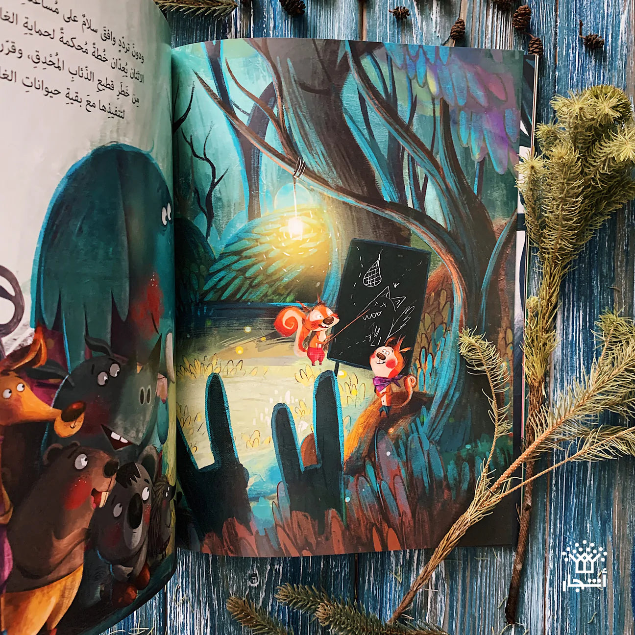 من ينقذ الغابة؟